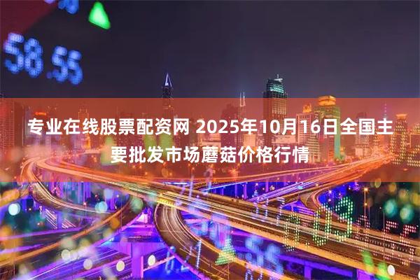 专业在线股票配资网 2025年10月16日全国主要批发市场蘑菇价格行情