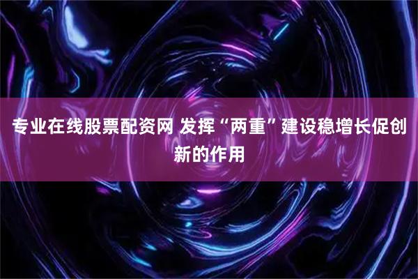专业在线股票配资网 发挥“两重”建设稳增长促创新的作用