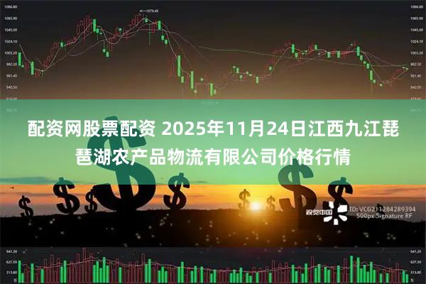 配资网股票配资 2025年11月24日江西九江琵琶湖农产品物流有限公司价格行情